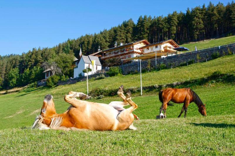 Gasthaus Bad Siess Longostagno 외부 사진