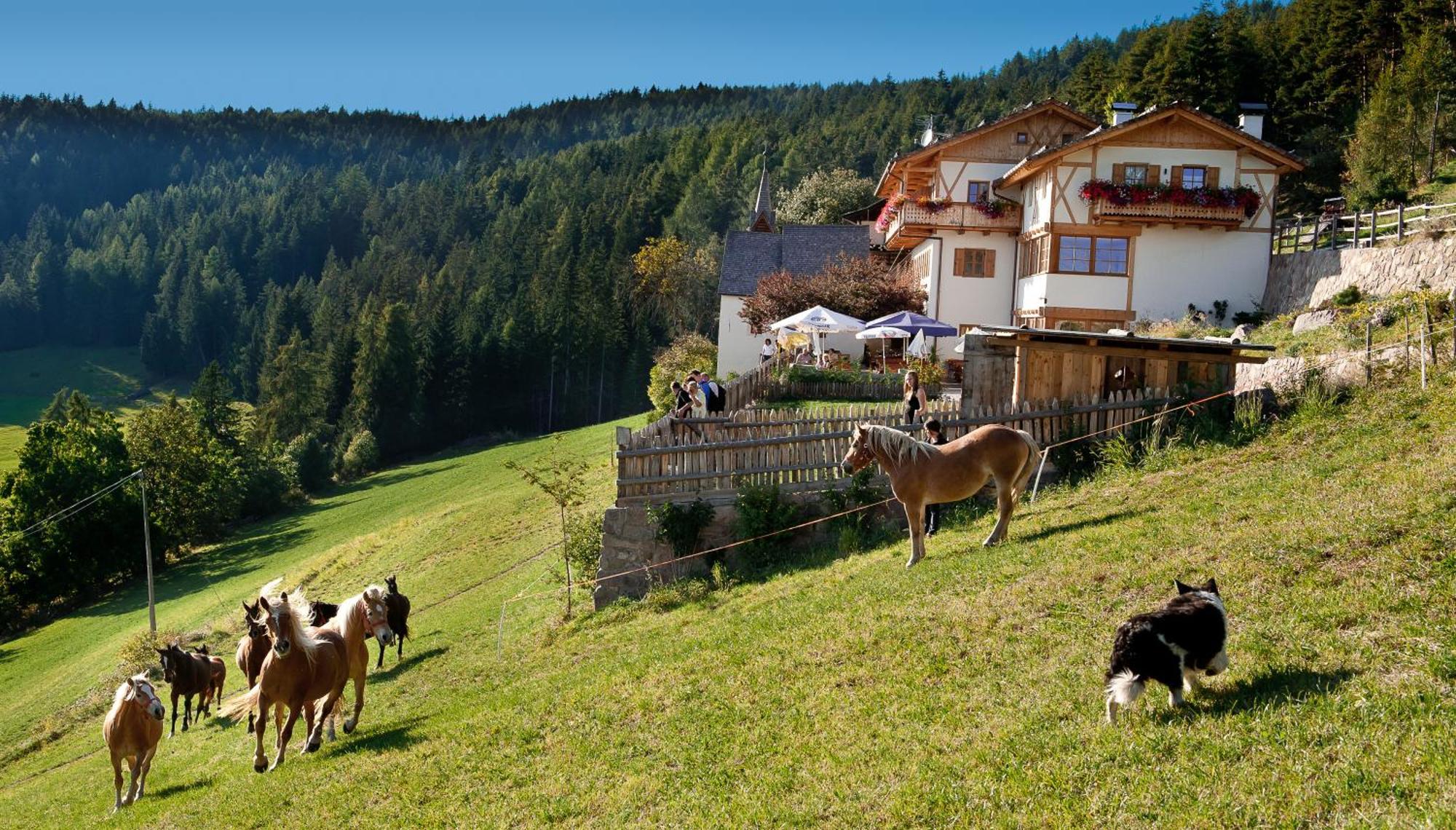 Gasthaus Bad Siess Longostagno 외부 사진